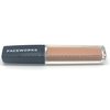 FACEWORKS Liquid Lipstick Lip Gloss LIPSTICKS(Nudie Cutie Matte)