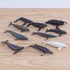 Ocean Sea Marine Animal Figure Toys Playsets 10 PCS Mini Whale Model Toy Desktop Decoration Collection Party Favors Toys for Boys Girls Kids