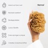 Naroa Massage Natural Shower Sponge | Unbleached Body Scrubber Puff | Bath Sponge for Healthy Skin | Eco Friendly Sustainable Sea Sponge (Massage - Medium)