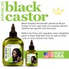 SFC Black Empress Pro-Growth Jamaican Black Castor & Avocado Hair Growth Hair Oil 2.5 oz.