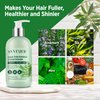 Svvimer Hair Thickening Shampoo and Conditioner - Rosemary Shampoo with Biotin Tea Tree Oil Mint for Hair Loss and Thinning Hair - Sulfate Free for Women and Men