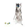 Midlee Mini Dog Tennis Balls - Blue/Yellow- Pack of 4