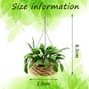 Skylety 2 Pieces 1:12 Miniature Dollhouse Plants Miniature Bonsai Plant Dollhouse Christmas Tree Mini Potted Plant Dollhouse Hanging Plant Pot Model for Toddlers Girls and Boys Toys DIY
