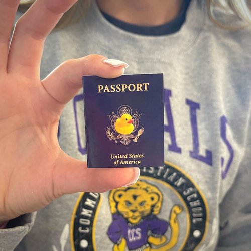 Passport Cruising Ducks Tag for Cruise Ship Game Attach to Rubber Sailing Duck | 50 pk | Mini 2 x 1.75” Hole Punch & Fold DIY Cruise Line Carnival Royal Caribbean What Luck You Found a Cruising Duck