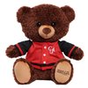 HBCyoU Clark 10-inch Snuggly Letterman Teddy Bear, Graduation Gifts, Stuffed Animals and Toys for Kids Ages 3+