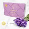 Anovina Lavender Essential Oil Shower Steamers Gift Box. Proudly Made in USA. Shower Bombs Aromatherapy. Shower Tablet Gifts for Men and Women. Self Care Gifts