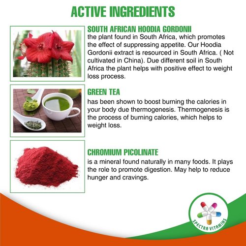 Appetite Suppressant 60 Capsules - S. African Hoodia and Green Tea Extract Control Appetite, Increase Energy and Promote Weight Loss, Made in USA