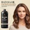 INFINA ESSENTIALS Batana Oil Shampoo with Biotin & Tea Tree Oil - Hair Growth & Thickening Shampoo for Men & Women - Sulfate Free, Promotes Hair Strength & Hydration, 16 fl oz