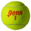 Penn Championship- Regular Duty Felt Pressurized Tennis Balls - 1 Can, 3 Balls