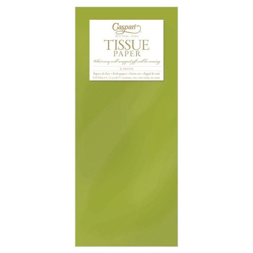 Entertaining with Caspari Tissue Paper, Aloe, 8-Sheets