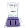 Candlecopia Hyacinth Strongly Scented Hand Poured Vegan Wax Melts, 12 Scented Wax Cubes, 6.4 Ounces in 2 x 6-Packs
