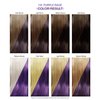 Adore Semi Permanent Hair Color - Vegan and Cruelty-Free Purple Hair Dye - 4 Fl Oz - 116 Purple Rage (Pack of 1)