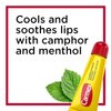 Carmex Classic Lip Balm Medicated 0.35 oz (Pack of 5)