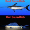 FRANKIEZHOU Simulation Swordfish Plush,Sailfish Stuffed Animal, Plush Toy,Soft Toy,Stuffed Toy,Cuddly Toys,Gifts for Kids,18 Inches