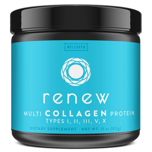 WellPath Renew Multi Collagen Protein Powder - 5 Types of Collagen - Hydrolyzed Grass-Fed Bovine, Marine, & Chicken Collagen Peptides - Type I, II, III, V, and X - Keto Friendly Supplement, 11 oz