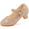 Dufannie Gold Flower Girl Dress Toddler High Heels Flower Girl Shoes for Wedding Birthday Party Princess Dress Performance Shoes Big Little Girls Flats(3303Gold 13)