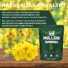 NutraNourish Mullein Gummies for Lung Detox 60 Count,1000mg Mullein Leaf Herb Extract for Respiratory & Digestive & Immune Support,Lung Cleanse & Mucus Relief,Vegan,Pear Flavor