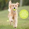 100 Used Tennis Balls for Dogs - Support USA Tennis Ball Recycling NonProfit: Bulk Tennis Balls for Dogs, Tennis Balls for Dogs Bulk, Dog Tennis Balls Bulk, Tennis Balls Bulk for Dogs (100 Balls)