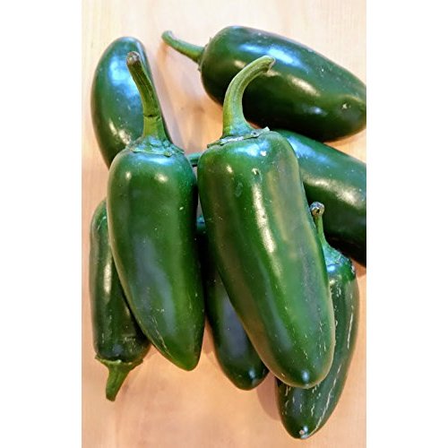 Fresh Jalapenos Chili Peppers 2 lbs.