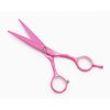ROCOCO Professional 5.5 inch Pink Salon Hair Cutting Scissors and Hair Thinning Shears with Razor for Female Hairdresser(Pink)