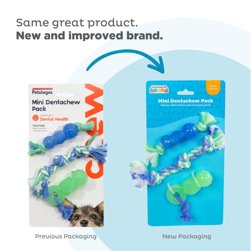 Petstages Mini Dentachew Dog Chew Toy - 3 Pack - Great Size for Small Dogs and Puppies