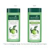 Biotique Bio Green Apple Fresh Daily Purifying Shampoo and Conditioner for Oily Scalp and Hair, 180ml
