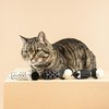Fringe Studio "OFF THE SCALES Cat Toy Mini Set of 3, PetShop Collection (904028)