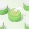 CARENEL Lime Lip Sleeping Mask 23g