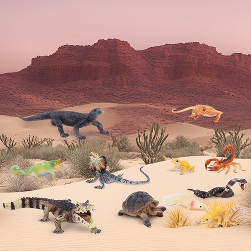 Toymany Reptile Animal Figurine Toys Set, 12 PCS Desert Amphibians Animal Figures with Komodo Dragon Lizard Snake Chameleon Rainforest Cold Blooded Animals Figures Party Favor for Kids