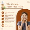 Satthwa Organic Neem & Turmeric Face Wash for Acne & Pimples with Turmeric Extract & Neem Leaf Extract, Oil Control, Cleanses and Soothes Skin, 125ml (4.2fl oz)