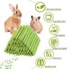 NSWXZDS 48PCS Rabbit Toys, Bunny Chews Timothy Hay Stick Guinea Pig Food, Hamster Toys for Teeth Grinding, Rabbit Alfalfa Treat, Rodent Molar Snack for Chinchilla Squirrel Gerbil Hedgehog Chipmunk
