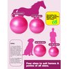 Harrison Howard Howdy Bally Mega Horse Play Ball Anti-Burst Giant Horse Ball Horse Soccer Ball Herding Ball Giant Play Ball for Horses 22 Inch-Magenta