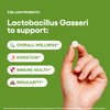 Lactobacillus Gasseri Probiotic Supplement 240 Tablets 3 Billion CFU Probiotics for Men & Women Supports Intestinal Digestive & Gut Health (240, Lactobacillus Gasseri)
