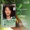 Clairol Natural Instincts Demi-Permanent Hair Dye, 2RV Burgundy Black Hair Color, Pack of 3