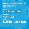 Celebrate Vitamins Rebuild Whey Isolate Protein Powder with Probiotic and Prebiotic, 20g Protein, Gluten Free, Berry Burst,15 Servings