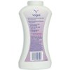 Vagisil Deodorant Powder 8 oz