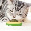 SUOXU Catnip Ball Cat Toy Cat Wall Treats,3 Pack Silvervine Catnip Toys for Indoor Cat, Cat Teeth Grinding Chew Teeth Cleaning Roller Exerciser Interactive Cat Toys