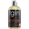 tgin Moisture Rich Sulfate Free Shampoo For Natural Hair - Dry Hair - Curly Hair - 13 Oz