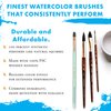 Princeton Artist Brush Neptune Series 4750 - 4-Piece Synthetic Squirrel Watercolor Paint Brush Set- Includes Aquarelle ¾” Oval Wash ½ & 2 Round Brushes Sizes 4 & 12