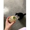 Haourlife Cat Toy Feather Tail Mouse with Cute Handmade Small Bamboo Cage - 3PCS