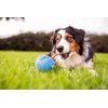 Outward Hound by Planet Dog Guru Treat-Dispensing Puzzle Ball Dog Toy, Blue