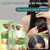 HUANG YI Natural Plant Hair Dye, New Botanical Bubble Hair Dye 20ml 10Packs/Box, Pure Plant Extract for Grey Hair Color Bubble Dye, New Botanical Bubble Hair Shampoo (Dark Brown)
