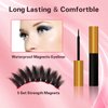 THINKSHOW Magnetic Eyelashes Kit, Long Lasting and Reusable Magnetic lashes Natural Look, 10 Pairs False Eyelashes with Magnetic Eyeliner & Tweezers, Easy to Wear, No Glue Needed(10-2)