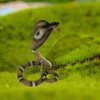 Gemini&Genius King Cobra Figurine Toy- Safari Animal Toys, Fake Snake Action Figures, Scary Snake Toy-6.5 Inches Height, or Garden Decor Scare Birds
