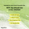 VEGANIFECT Clean and Glow Green Barley Gel Cleanser, Vegan Certified, Hydrating, Improving Skin Texture, 6.93 Fl Oz (New)
