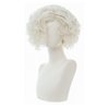 Amnenl White Curly Short Wigs for Men Anime Natural Fluffy Synthetic Cosplay Costume Hair Wig