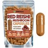 XPRS Nutra Reishi Mushroom Capsules - 180 Count Red Reishi Mushroom Capsules - 3 Month Supply Real Mushrooms Supplement Pills for Cognitive and Immune Boost - Superfood Hongo Organico