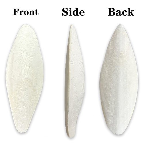 20 Pcs Bird Cuttlebone for Parakeets 4.7"-5.7" Cuttlebone for Birds - 100% Natural Cuttlefish Bone Bulk Chew Toy Bird Bites Calcium Stone for Canaries Tortoises,Snails,Reptiles,Parrots,Cockatiel