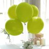 Green Balloons Different Sizes, Scmdoti Teender Green Balloons 18 12 10 5 Inches, Green Balloon Garland Arch for Wild One Party Birthday Baby Shower Bridal Shower Wedding Decorations(Tender Green)