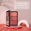HOSAILY 12 Colors Cream Blush Palette Matte Blush Contour and Highlight Blush Palette Waterproof and Long Lasting Blush Cream Makeup Palette